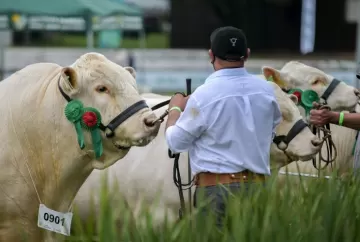 ANC abre inscrições para a 49ª Expointer e prevê retorno de raças às pistas de julgamento