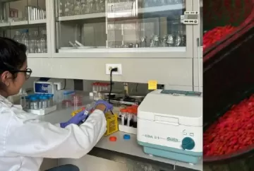 Bioinsumos ganham força na América Latina e estudo da FAO aponta potencial de redução de custos e aumento da produtividade agrícola