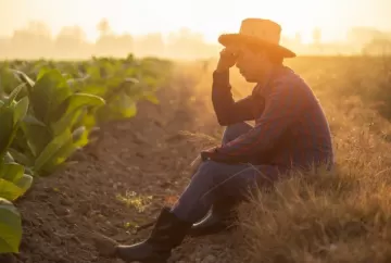 Inadimplência rural bate recorde e MP de renegociação abre nova oportunidade para produtores endividados