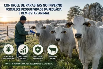 Controle de parasitas no inverno reduz perdas na pecuária e aumenta produtividade dos rebanhos