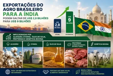 Índia emerge como gigante oportunidade para o agronegócio brasileiro e pode triplicar importações até 2030