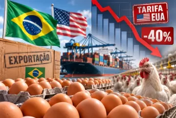 Tarifa dos EUA provoca queda superior a 40% nas exportações brasileiras de ovos e pressiona setor avícola