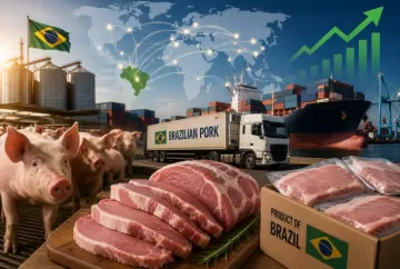 Produção e exportações de carne suína do Brasil avançam em 2026 e reforçam protagonismo no mercado global