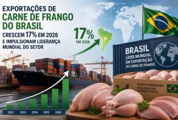 Exportações de carne de frango do Brasil crescem 17% em 2026 e impulsionam liderança mundial do setor