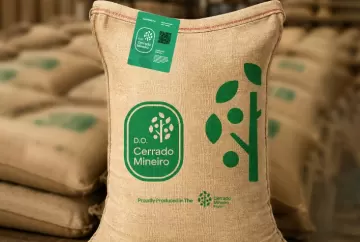 Café do Cerrado Mineiro amplia presença global e certifica 420 mil sacas com Denominação de Origem na safra 2025/2026