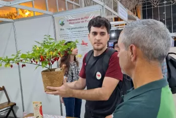 Semana do Fazendeiro 2026 destaca pesquisa da UFV que acelera melhoramento genético de pimentas e aproxima ciência dos agricultorespimenta_SF_pimenta_SF_