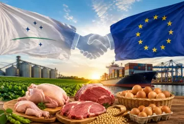 Acordo Mercosul-União Europeia pode impulsionar exportações brasileiras de carnes e ovos