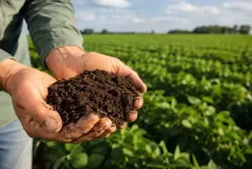 Saúde do solo ganha protagonismo no agronegócio ao elevar produtividade, reduzir custos e aumentar a rentabilidade no campo
