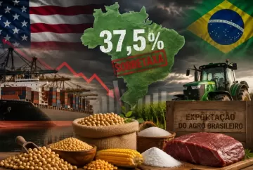 Sobretaxa de 37,5% dos EUA atinge um terço das exportações do agro brasileiro e força produtores a rever estratégias