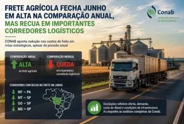 Frete agrícola fecha junho em alta na comparação anual, mas recua em importantes corredores logísticos, aponta Conab