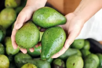 Preço do avocado despenca mais de 60% em um ano na CEAGESP e amplia oportunidades de compra