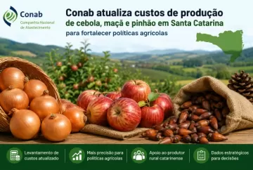 Conab atualiza custos de produção de cebola, maçã e pinhão em Santa Catarina para fortalecer políticas agrícolas