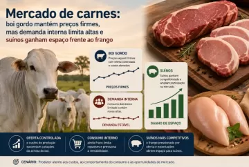 Mercado de carnes: boi gordo mantém preços firmes, mas demanda interna limita altas e suínos ganham espaço frente ao frango