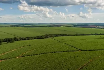 Tereos mapeia 162 mil hectares de solos e cria novo modelo de manejo para elevar a produtividade da cana-de-açúcar