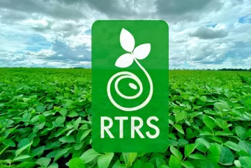 Soja brasileira fortalece liderança global com certificação RTRS, rastreabilidade e produção sustentável