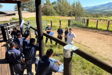 Biogénesis Bagó lança Missão Produz+ para fortalecer a pecuária com ciência aplicada e formação técnica no campo