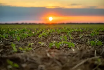 Possível Super El Niño coloca safra 2026/27 em alerta e exige planejamento antecipado dos produtores rurais