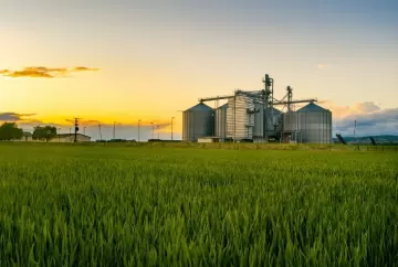 Falta de armazéns ameaça logística da safra brasileira e amplia gargalos no escoamento de grãos