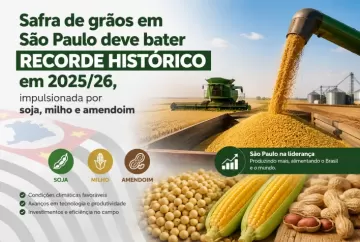 Safra de grãos em São Paulo deve bater recorde histórico em 2025/26, impulsionada por soja, milho e amendoim