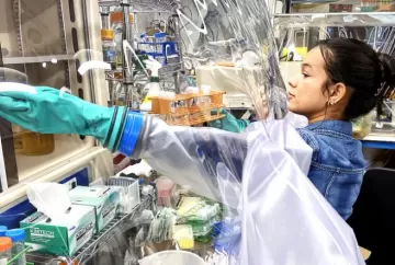 Tecnologia da Unicamp aumenta rendimento do etanol de segunda geração em até 30% e pode transformar produção de biocombustíveis