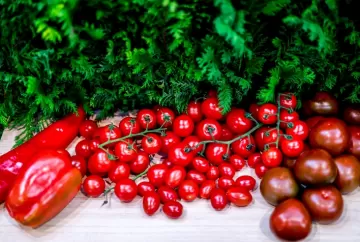 Tecnologias para reduzir perdas de frutas e hortaliças serão destaque na The Brazil Conference & Expo 2026