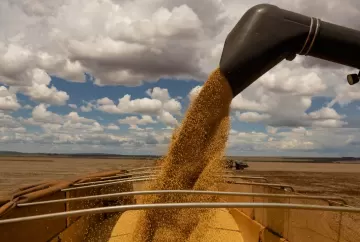 Soja recua em Chicago e mercado brasileiro segue travado com produtores cautelosos e logística pressionando preços
