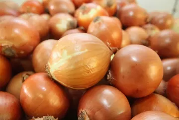 Preço da cebola sobe na Bahia com oferta restrita e menor disponibilidade no Nordeste