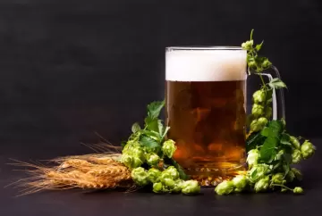 Dia Internacional da Cerveja: descubra a origem da bebida, importância do lúpulo e dicas de degustação