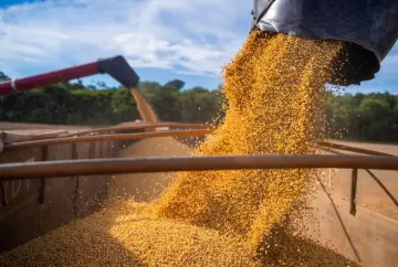 Mercado da soja segue travado no Brasil com produtor retraído, Chicago sem força e clima favorável nos EUA pressionando preços
