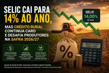 Selic cai para 14% ao ano, mas crédito rural continua caro e desafia produtores na safra 2026/27