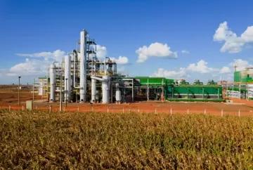 Biotecnologia no agro: Lallemand integra biocombustíveis, nutrição animal e microbiologia para impulsionar inovação no Brasil