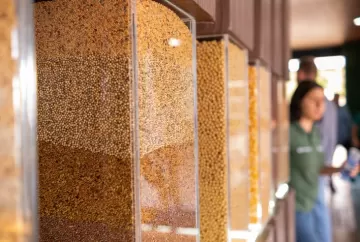 Semente de soja com tecnologia se torna fator decisivo para elevar produtividade e rentabilidade no campo