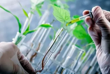 Bioinsumos no Brasil: biodiversidade e pesquisa podem colocar o país na liderança mundial do setor