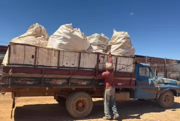 Agrodefesa apreende mais de 5 toneladas de embalagens de agrotóxicos em recicladora clandestina em Goiás