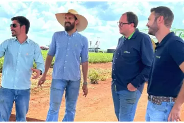 Inteligência artificial que “lê” o solo aumenta precisão no campo e impulsiona produtividade agrícola