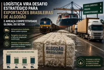 Logística vira desafio estratégico para exportações brasileiras de algodão e ameaça competitividade global do setor
