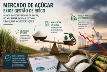 Mercado de açúcar exige gestão de risco diante da volatilidade da safra, do mix entre açúcar e etanol e da queda nas exportações