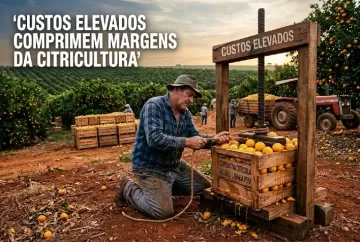 Custos elevados comprimem margens da citricultura
