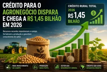 Crédito para o agronegócio dispara e chega a R$ 1,45 bilhão em 2026