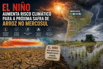 El Niño aumenta risco climático para a próxima safra de arroz no Mercosul