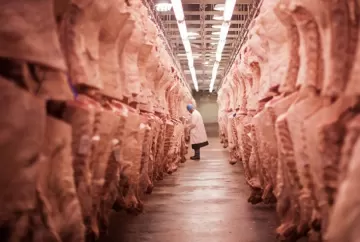Exportações de carne bovina do Brasil somam US$ 11,43 bilhões até julho, alta de 28,3%