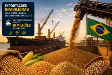Exportações brasileiras de soja, milho e farelo seguem fortes em agosto; ANEC projeta embarques acima de 19 milhões de toneladas