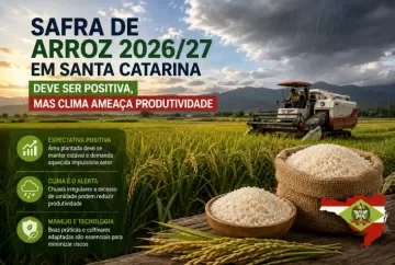 Safra de arroz 2026/27 em Santa Catarina deve ser positiva, mas clima ameaça produtividade