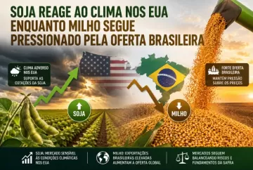 Soja reage ao clima nos EUA enquanto milho segue pressionado pela oferta brasileira