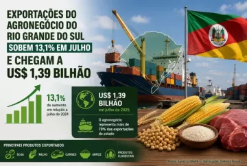 Exportações do agronegócio do Rio Grande do Sul sobem 13,1% em julho e chegam a US$ 1,39 bilhão