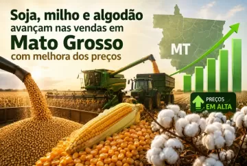 Soja, milho e algodão avançam nas vendas em Mato Grosso com melhora dos preços