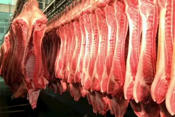 Exportações de carne suína recuam em julho com menor demanda da Ásia