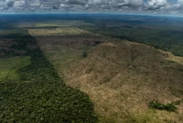 STF valida Moratória da Soja e ajuda a pacificar conflito entre produtores e tradings