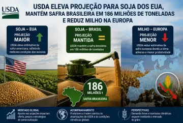 USDA eleva projeção para soja dos EUA, mantém safra brasileira em 186 milhões de toneladas e reduz milho na Europa