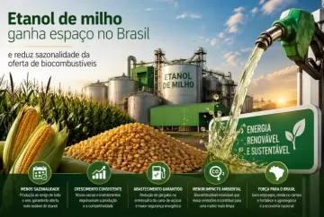 Etanol de milho ganha espaço no Brasil e reduz sazonalidade da oferta de biocombustíveis